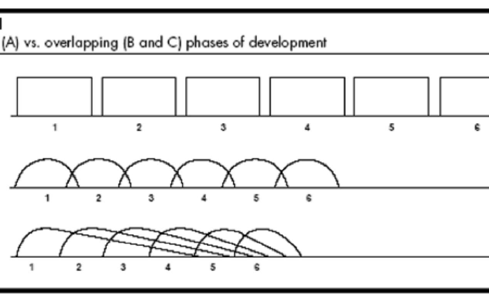 Hình 1: Phát triển tuần tự (A), chồng lấn (B và C)