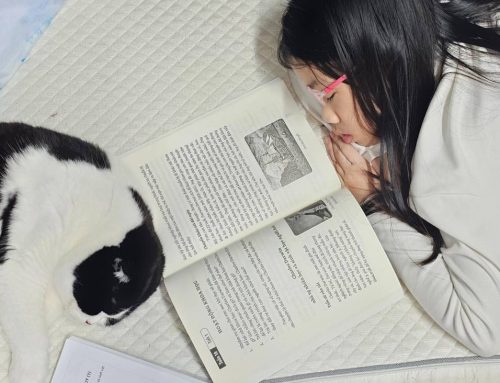 Cùng nhau đọc, như một hình thức khám phá tập thể